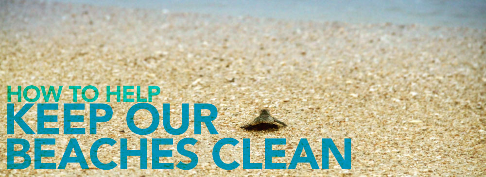 Sea turtle hatchling on beach crawling toward ocean with the text, "How to help: Keep our beaches clean."