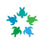 NSB Turtle Trackers Logo Icon